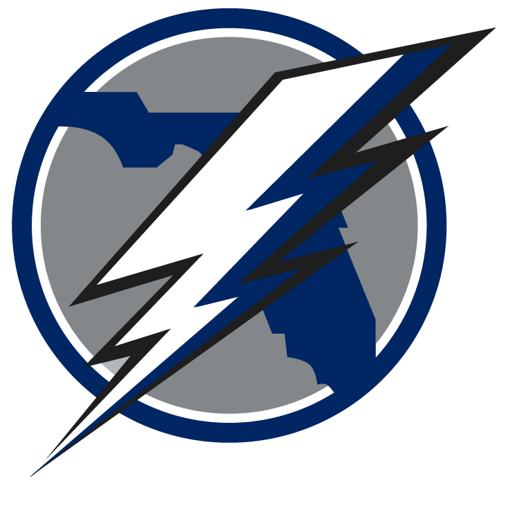 Tampa Bay Lightning 2008 Unused Logo iron on transfers for T-shirts